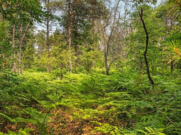 0 Ramsay Rd, Fife Lake, MI 49633