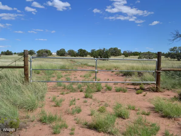 N 9160th, Concho, AZ 85924