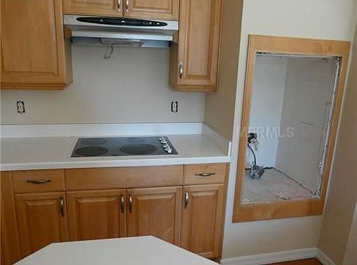 3rd image of 8802 Heritage Bay Cir