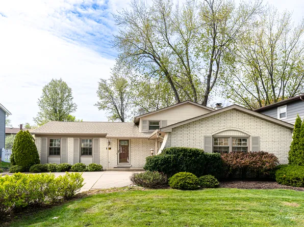 315 Anthony Rd, Buffalo Grove, IL 60089