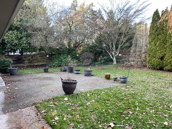 Backyard 1