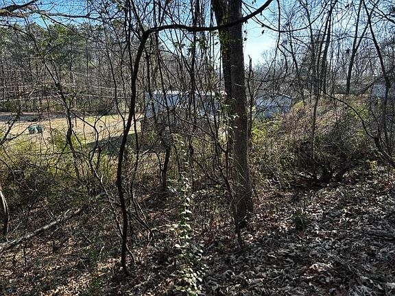 2nd image of 0 Wordon Way Lot 60