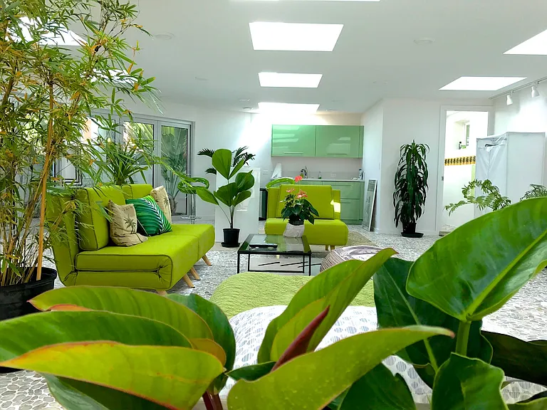 All plants have been moved onto the balcony.
