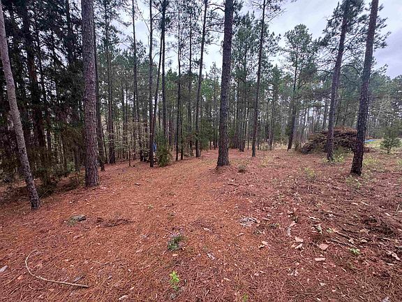 3rd image of Lots 9 11 Lake Gladewater Rd