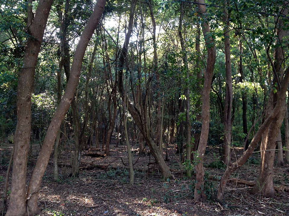 2nd image of Lot 4 Blue Island Avenue