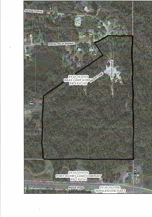 1st image of 0 Royal Palm Ave Lot 39