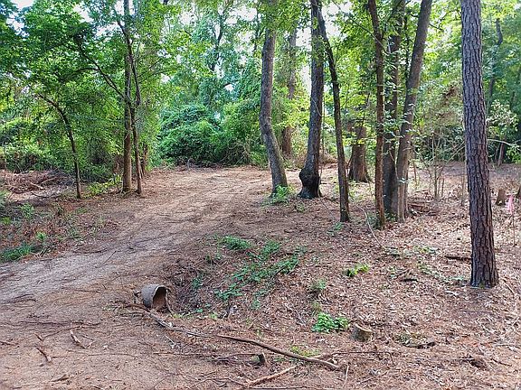 5th image of Beechwood Ln