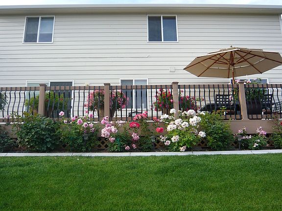 Back Deck