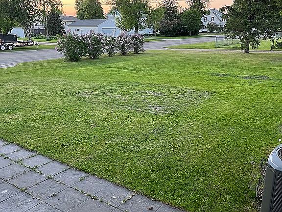 Backyard view from back step