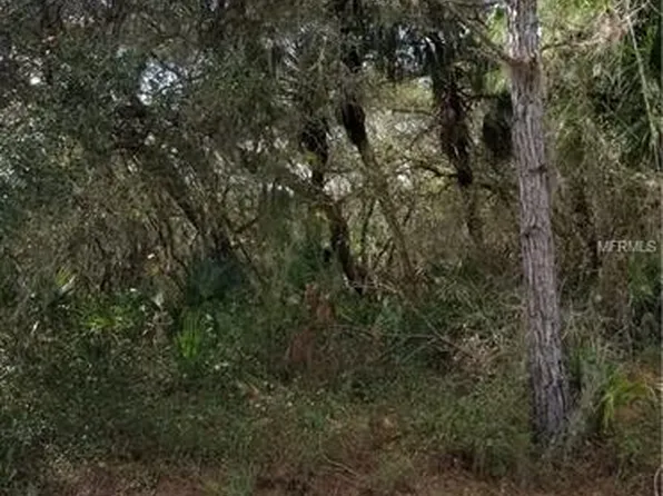 Bachmeyere St, North Port, FL 34291