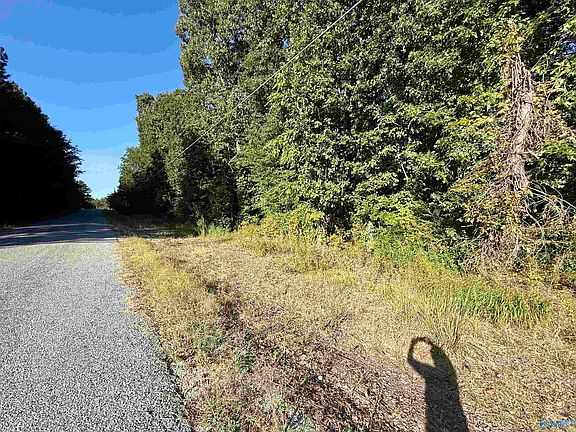 4th image of 368 Jones Chapel Rd