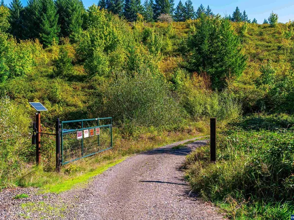 37251 SW Thimbleberry Dr, Gaston, OR 97119