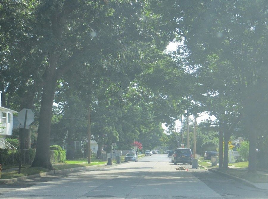 2nd image of 72 Forest Ave