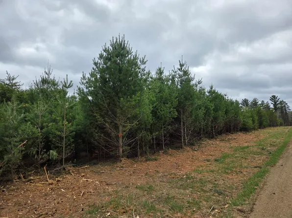 450th St Parcel A, Laporte, MN 56461