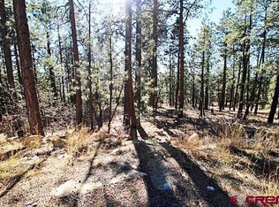 376 Blue Ridge Dr, Bayfield, CO 81122