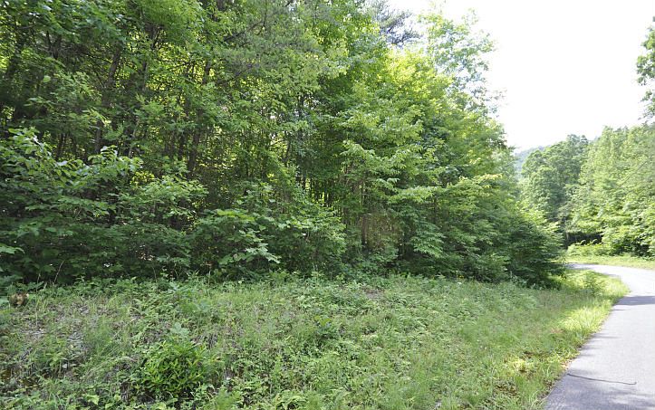 1st image of 196 Scenic Vista Dr