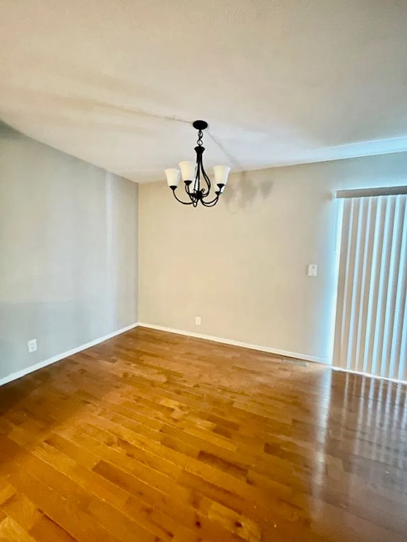 cd801 — Photo 4