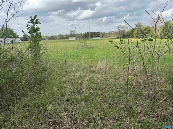 State Highway 36, Danville, AL 35619