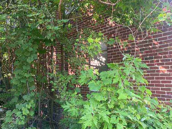 12064 Elmdale