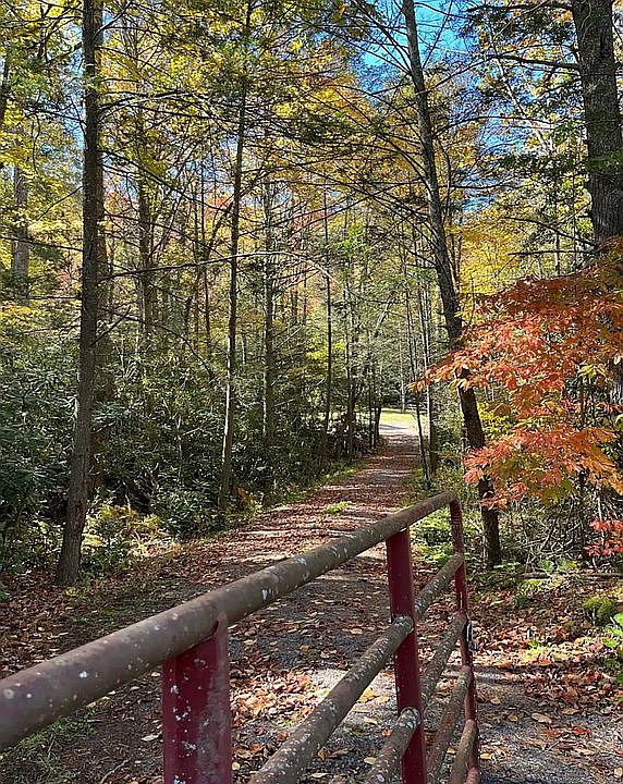 4597 Big Stony Creek Rd, Ripplemead, VA 24150 Zillow