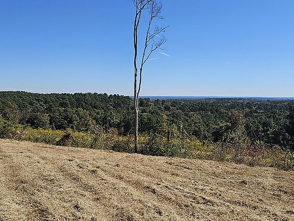 5th image of 245 County Road 3815