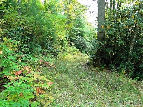 3rd image of LOT 3 Fenly Forest Trl