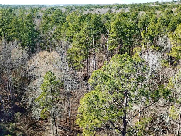 County Road 1036, Center, TX 75935