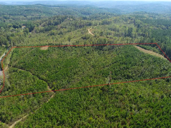 0 Frozen Hollow Rd, Carbon Hill, AL 35549