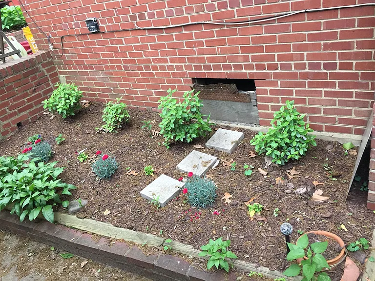 8 Walnut St NW #DC — Photo 5