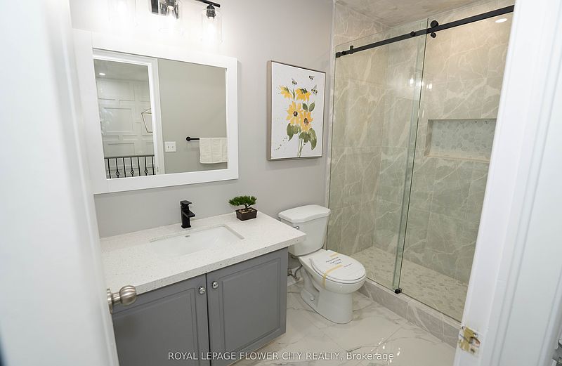 Brampton House for rent - 3 Bedrooms — photo 24