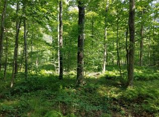 0 Stone Hill Rd, Arkport, NY 14807