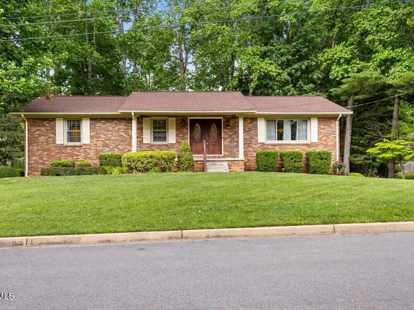 2 Mistletoe Ct, Johnson City, TN 37604