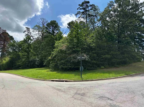Arlington Park Ct, Hot Springs National Park, AR 71901
