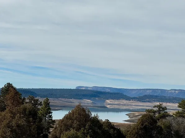 Canyon Rd, Los Ojos, NM 87551