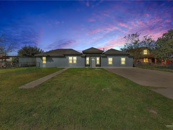 203 Flores Dr, Palmview, TX 78572