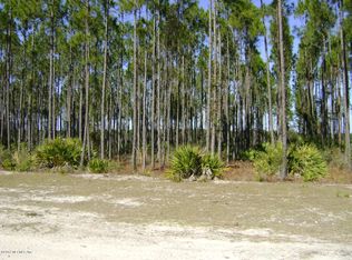 Palmetto Pl, Sanderson, FL 32087