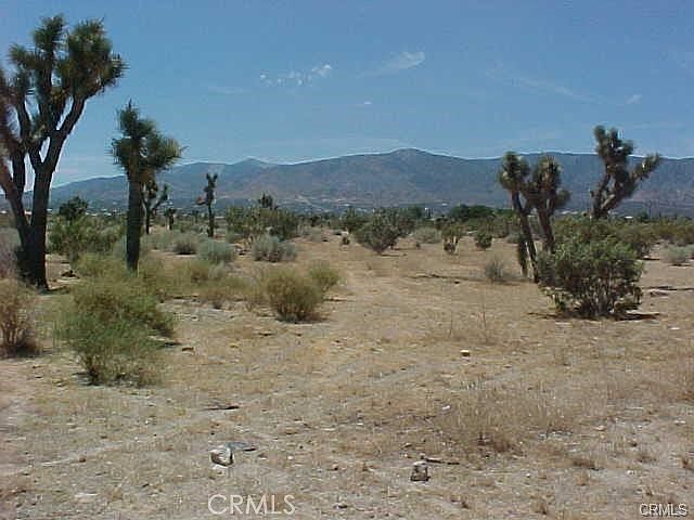 2nd image of 0 Bear Valley Road Primavera Rd Lot 452