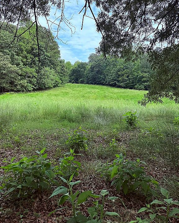 1st image of 0 J D Brooks Rd
