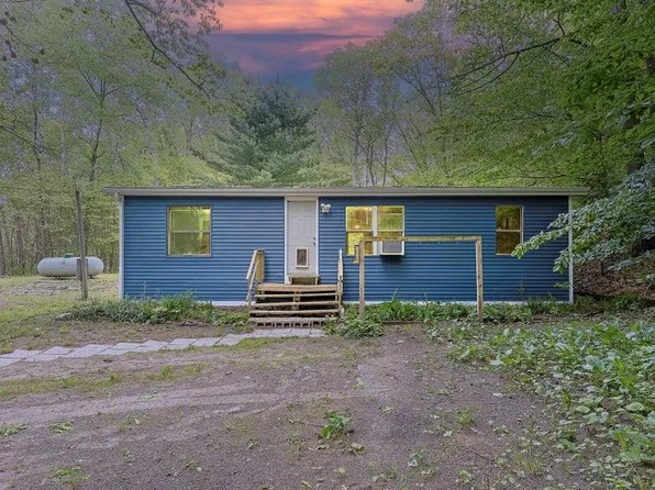 7894 N 66th Ave, Pentwater, MI 49449