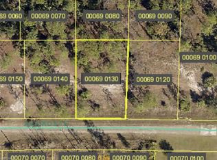 877 Arturo St E, Lehigh Acres, FL 33974