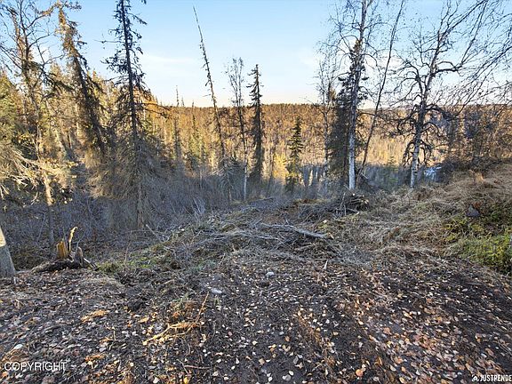 5th image of 12643 W Snowberry Rd