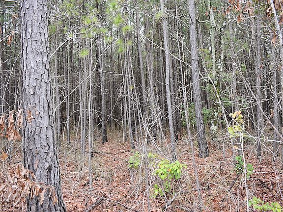 5th image of Near Hwy Lot 167-WP001