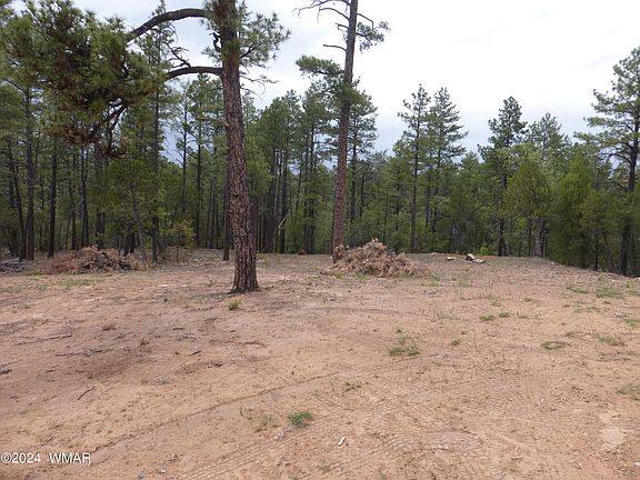 3rd image of 3598 Pine Needle Dr