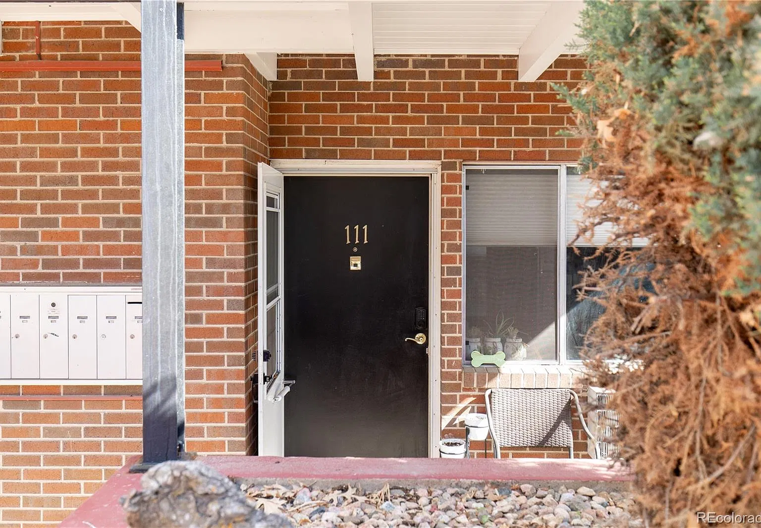301 Peterson St — Photo 3