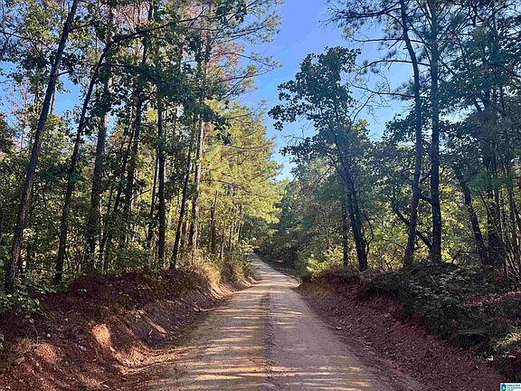 4th image of Lane Branch Rd #11.74
