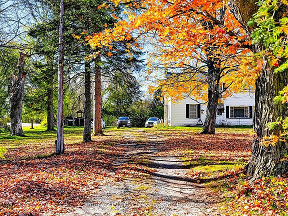 4th image of 334 Silver Maple Rd