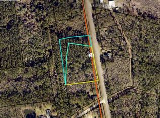 V/l Cornelia Armstrong Tract #1 & 2, Woodbine, GA 31569