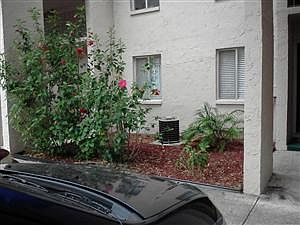 1st image of 7607 Abbey Ln APT B