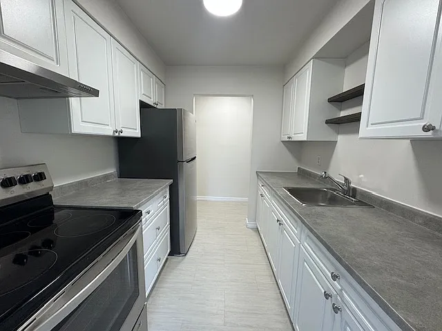 236 Louisa St #8B — Photo 5