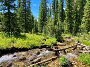 Tbd Red Lion Rd, Philipsburg, MT 59858